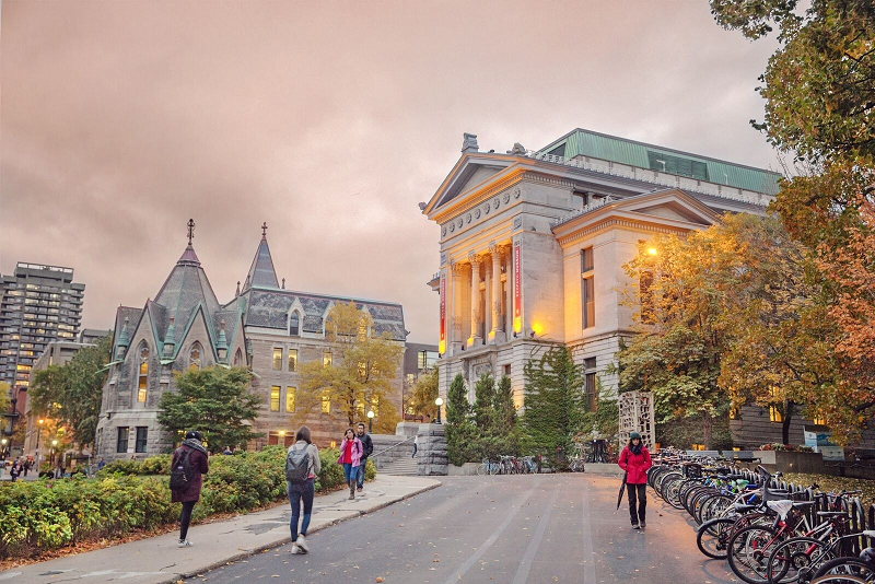 Trường McGill University