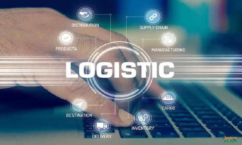 Du học ngành logistics ra làm gì?